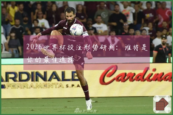 2026世界杯投注形势研判：谁将是你的最佳选择