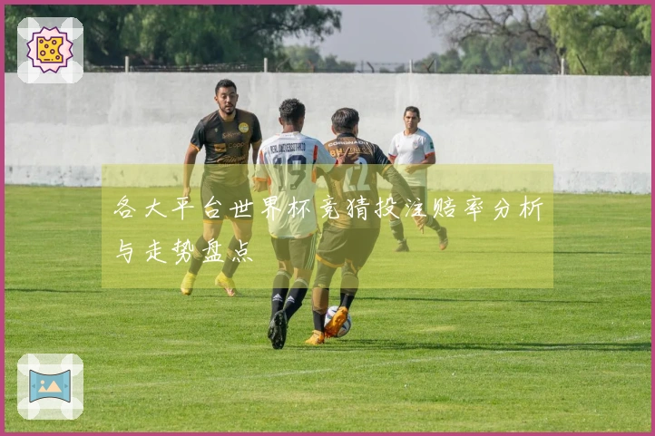 各大平台世界杯竞猜投注赔率分析与走势盘点