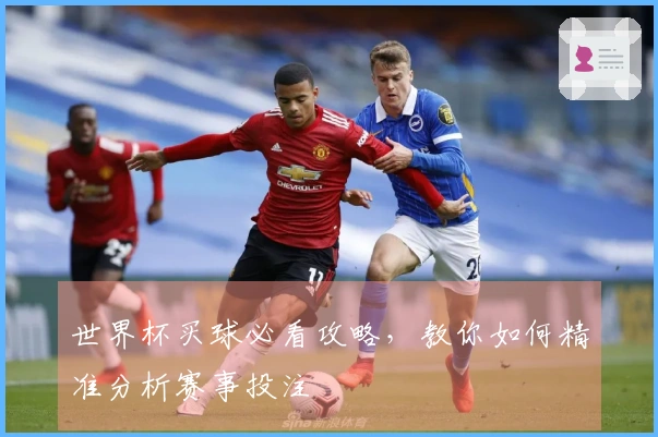 世界杯买球必看攻略，教你如何精准分析赛事投注