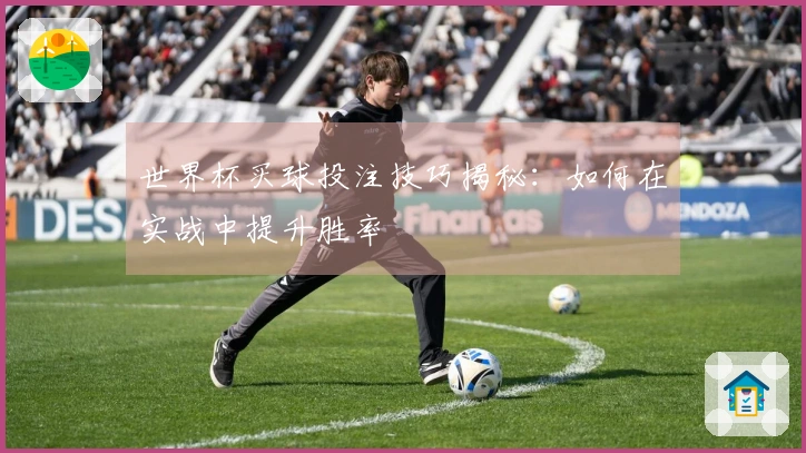 世界杯买球投注技巧揭秘:如何在实战中提升胜率