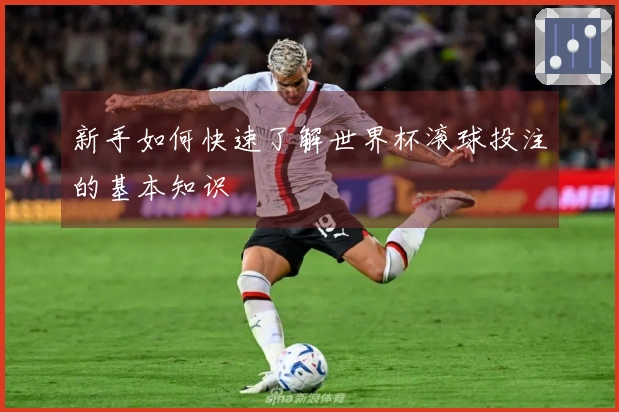新手如何快速了解世界杯滚球投注的基本知识