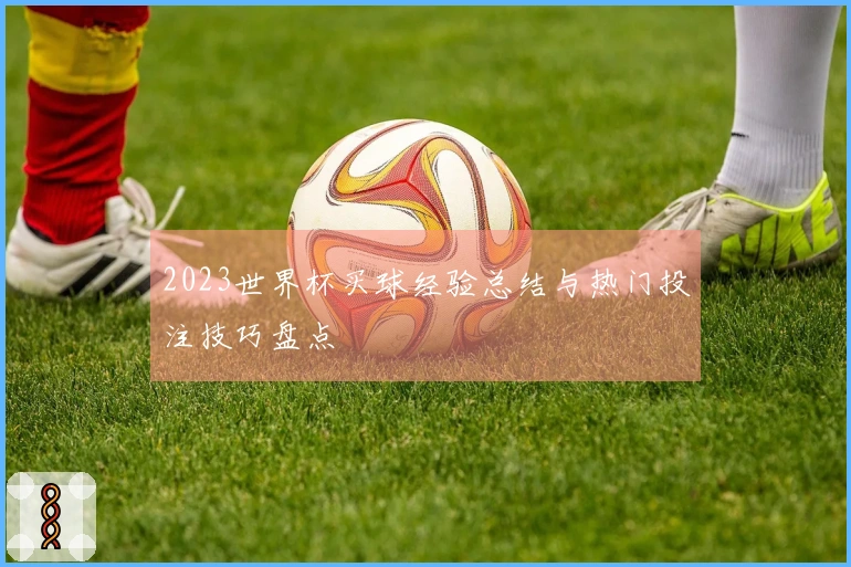 2023世界杯买球经验总结与热门投注技巧盘点