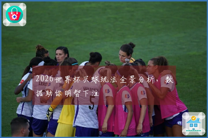 2026世界杯买球玩法全景分析，数据助你明智下注