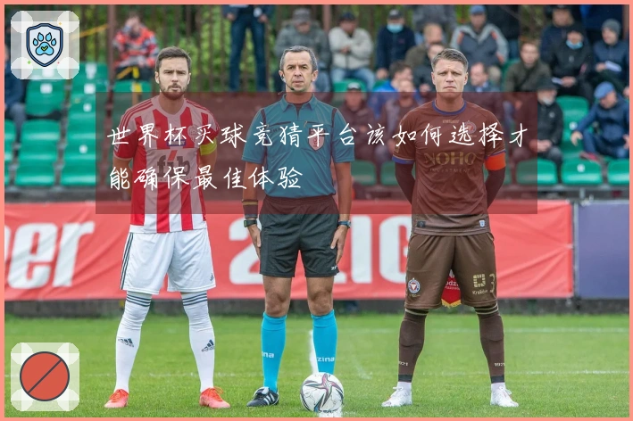 世界杯买球竞猜平台该如何选择才能确保最佳体验