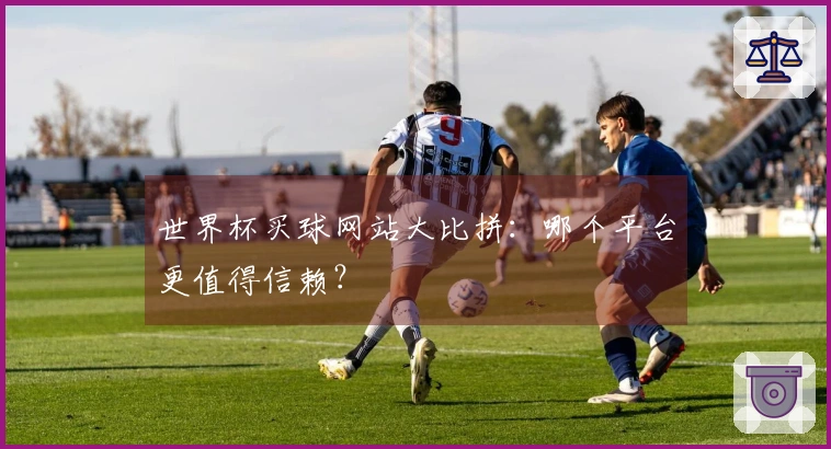 世界杯买球网站大比拼：哪个平台更值得信赖？