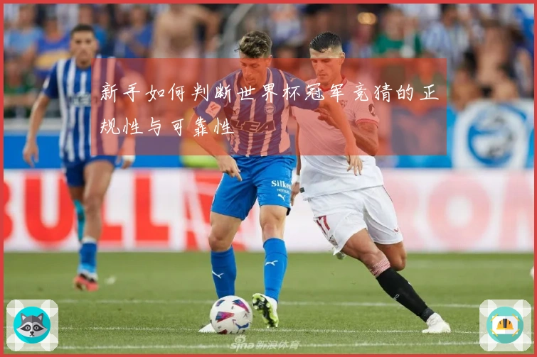 新手如何判断世界杯冠军竞猜的正规性与可靠性