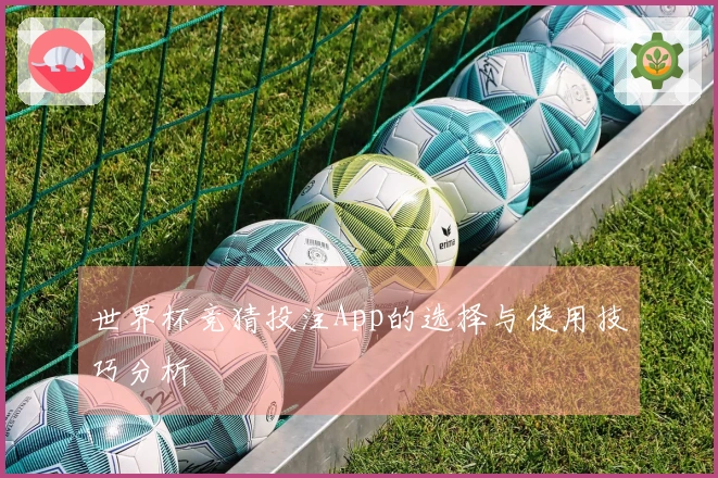 世界杯竞猜投注App的选择与使用技巧分析