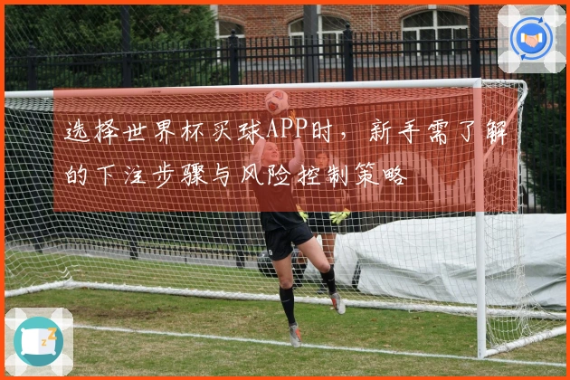 选择世界杯买球APP时，新手需了解的下注步骤与风险控制策略