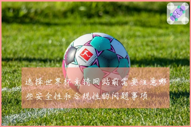 选择世界杯竞猜网站前需要注意哪些安全性和合规性的问题事项