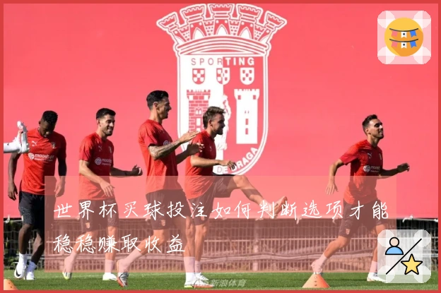 世界杯买球投注如何判断选项才能稳稳赚取收益