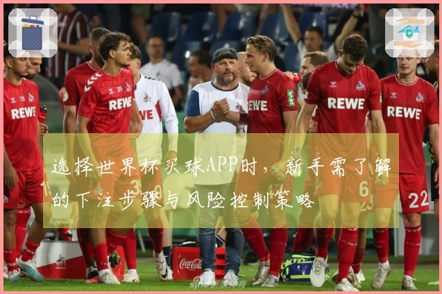 选择世界杯买球APP时，新手需了解的下注步骤与风险控制策略
