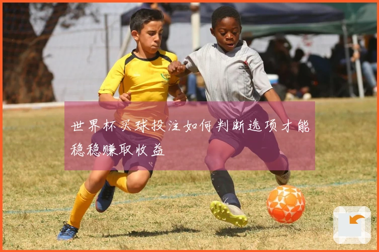 世界杯买球投注如何判断选项才能稳稳赚取收益