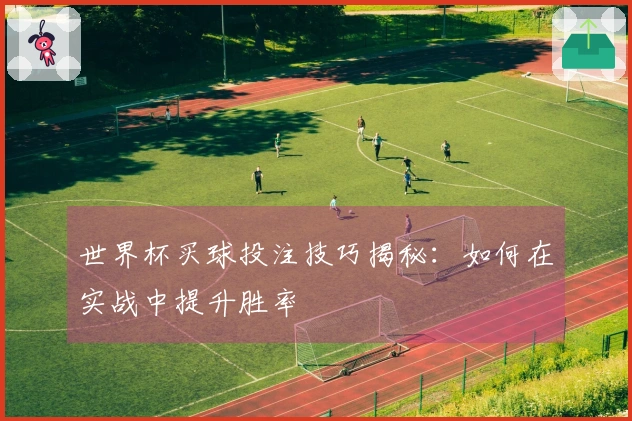 世界杯买球投注技巧揭秘：如何在实战中提升胜率