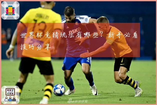 世界杯竞猜玩法有哪些？新手必看技巧分享