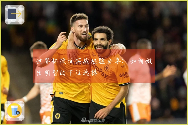 世界杯投注实战经验分享:如何做出明智的下注选择
