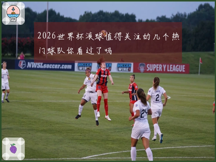 2026世界杯滚球值得关注的几个热门球队你看过了吗