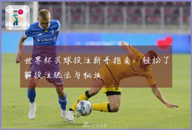 世界杯买球投注新手指南，轻松了解投注玩法与秘诀