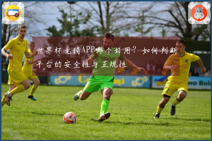 世界杯竞猜APP哪个好用？如何判断平台的安全性与正规性